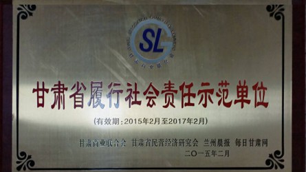 甘肅省履行社會(huì )責任示范單位