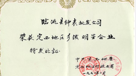 鄉鎮明星企業(yè)